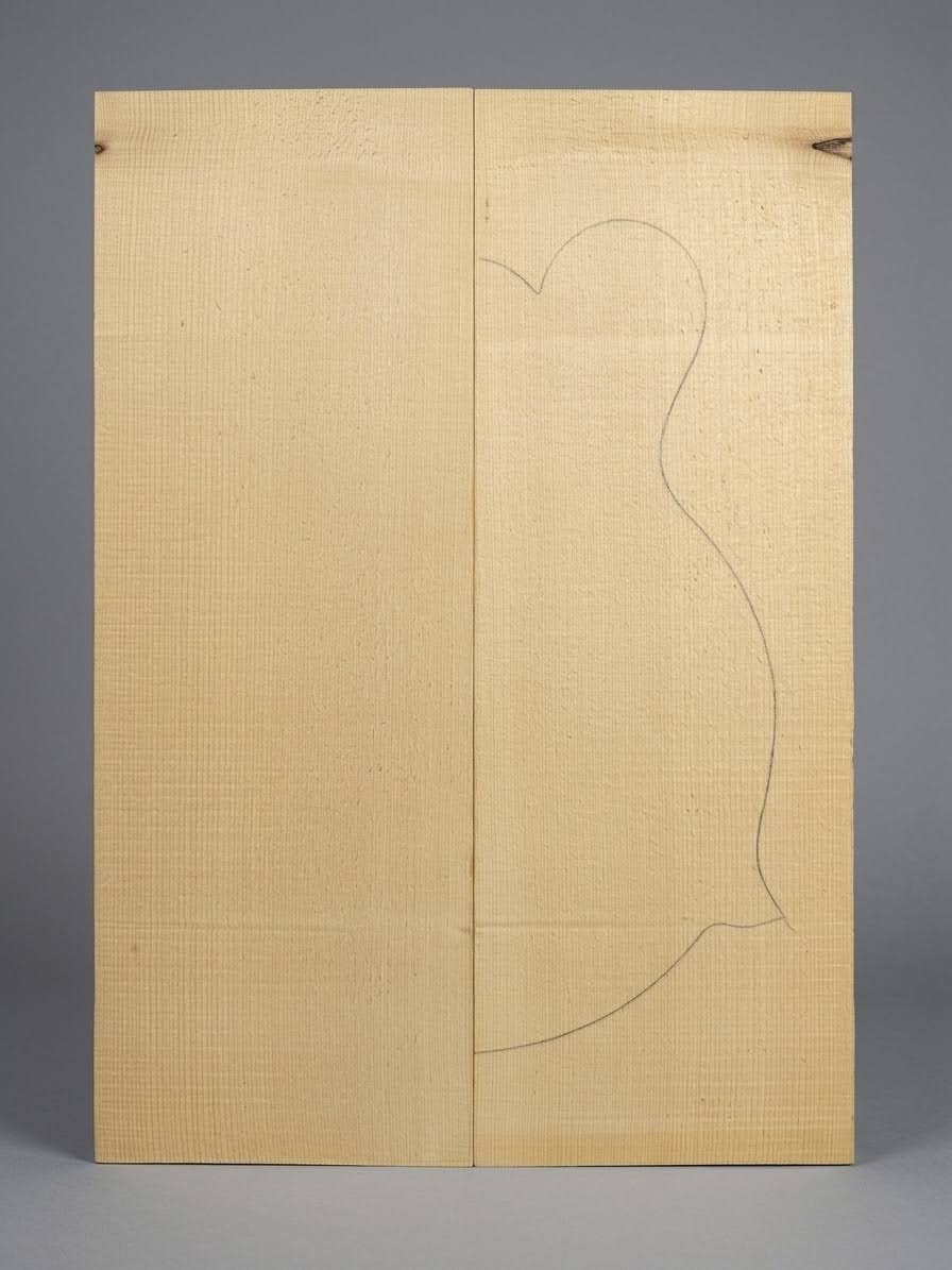 Mandolin Top Carving Blank