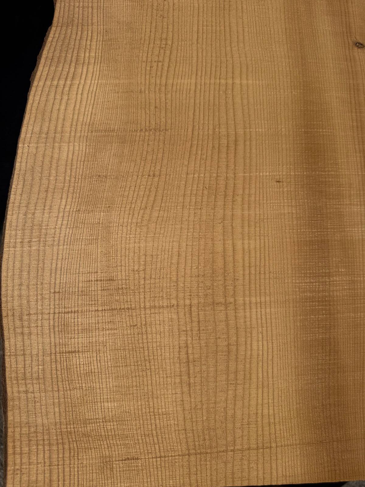 Torrefied Appalachian Red Spruce Guitar Tops